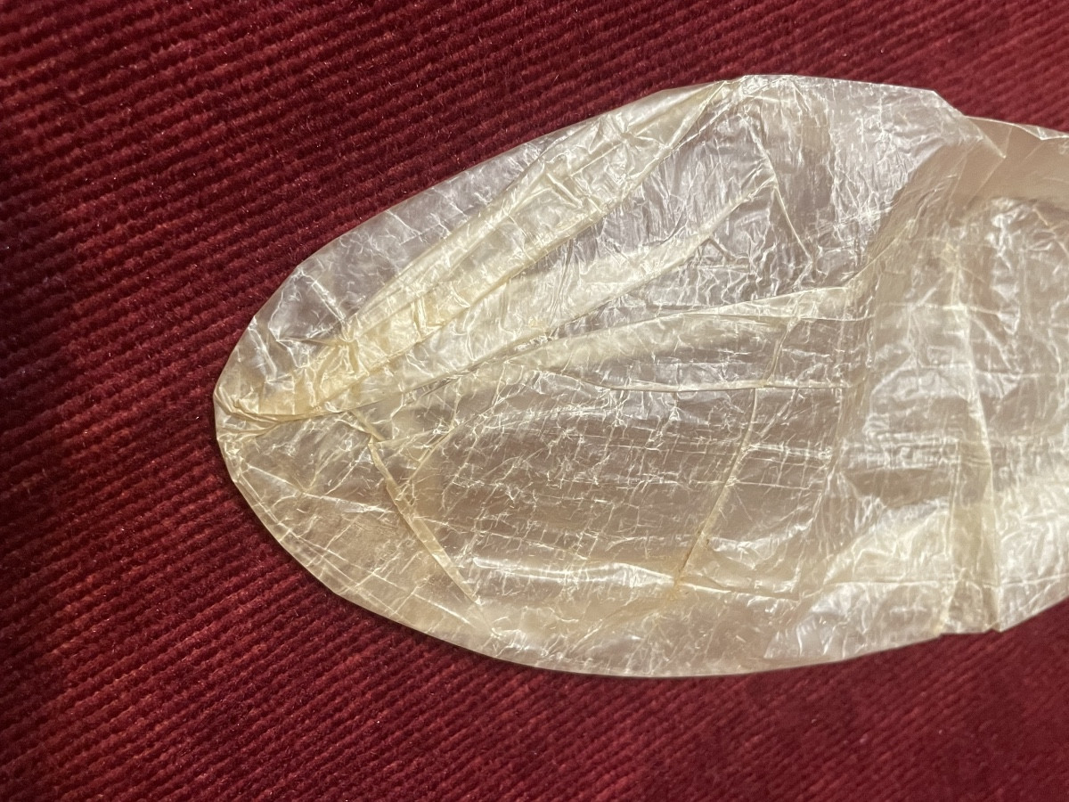Condom 18th Century-photo-1