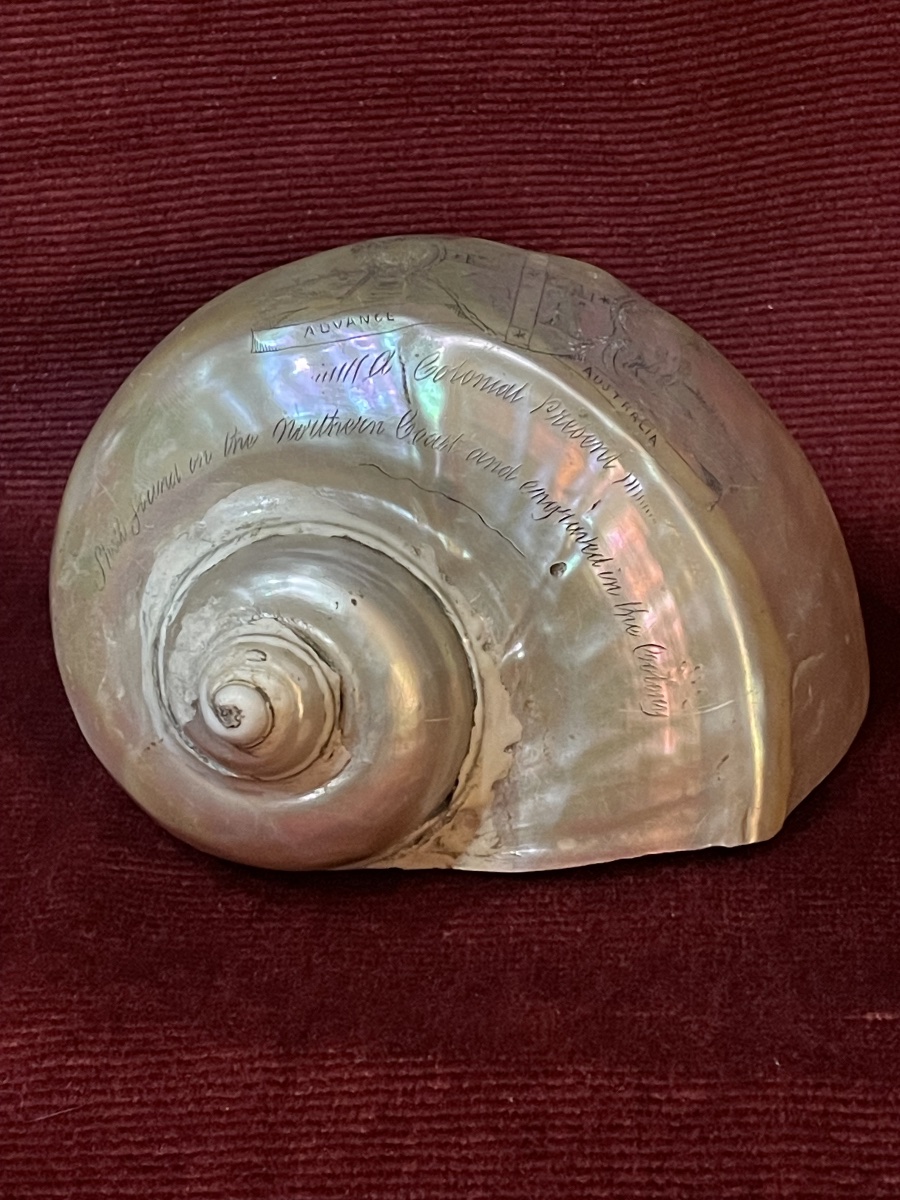 Engraved Shell With The Inscription "colonial Present," Australia, 19th Century -photo-2
