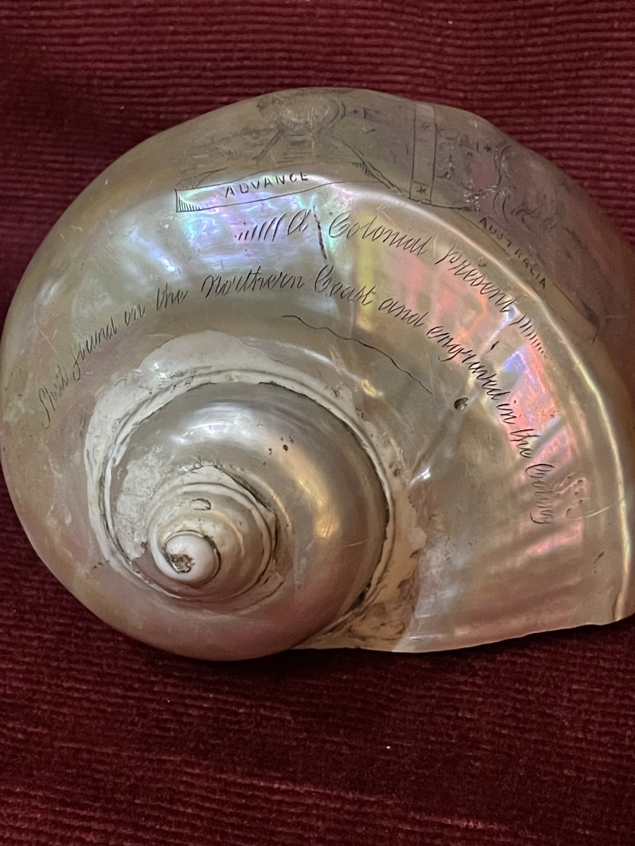 Engraved Shell With The Inscription "colonial Present," Australia, 19th Century -photo-3