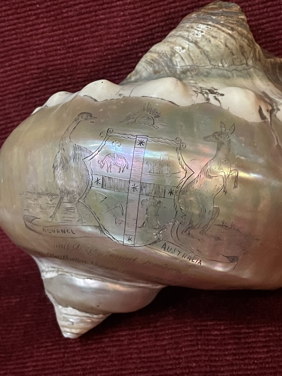 Engraved Shell With The Inscription "colonial Present," Australia, 19th Century -photo-4