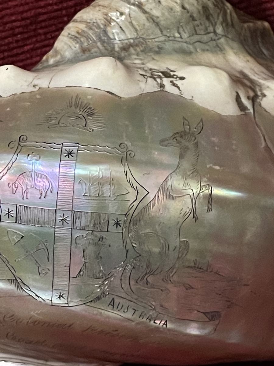 Engraved Shell With The Inscription "colonial Present," Australia, 19th Century -photo-2