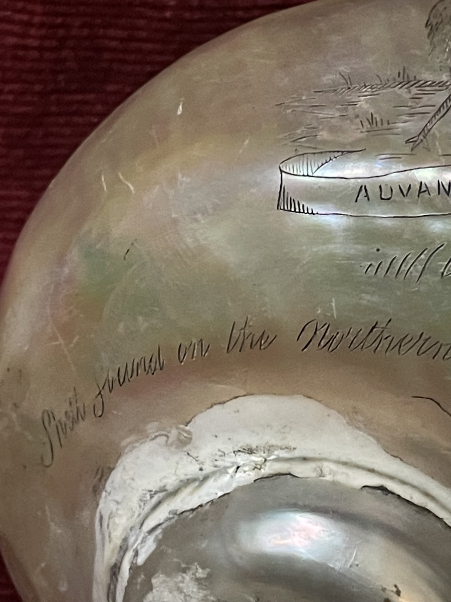 Engraved Shell With The Inscription "colonial Present," Australia, 19th Century -photo-3