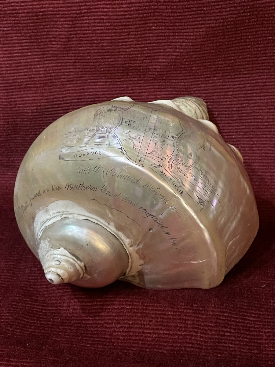 Engraved Shell With The Inscription "colonial Present," Australia, 19th Century 