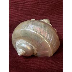 Engraved Shell With The Inscription "colonial Present," Australia, 19th Century 