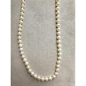 Cultured Pearl Necklace