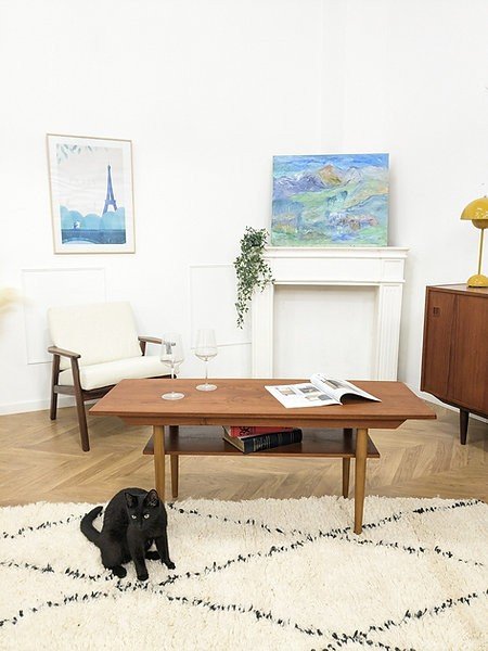 Scandinavian Coffee Table Double Tray