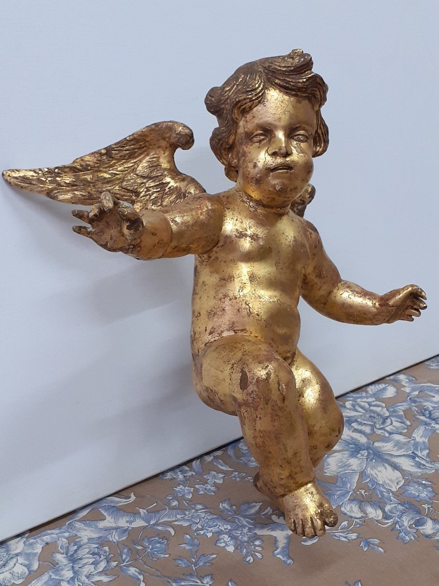 Winged Angel In Gilded Wood.-photo-2