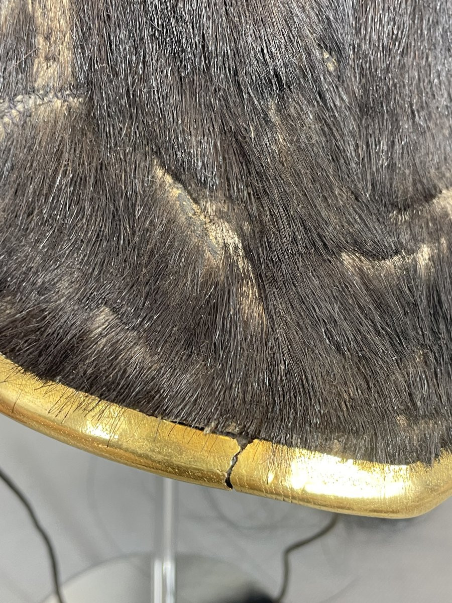 Helmet Of An Officer Of The Cuirassier 1st Regiment -photo-4