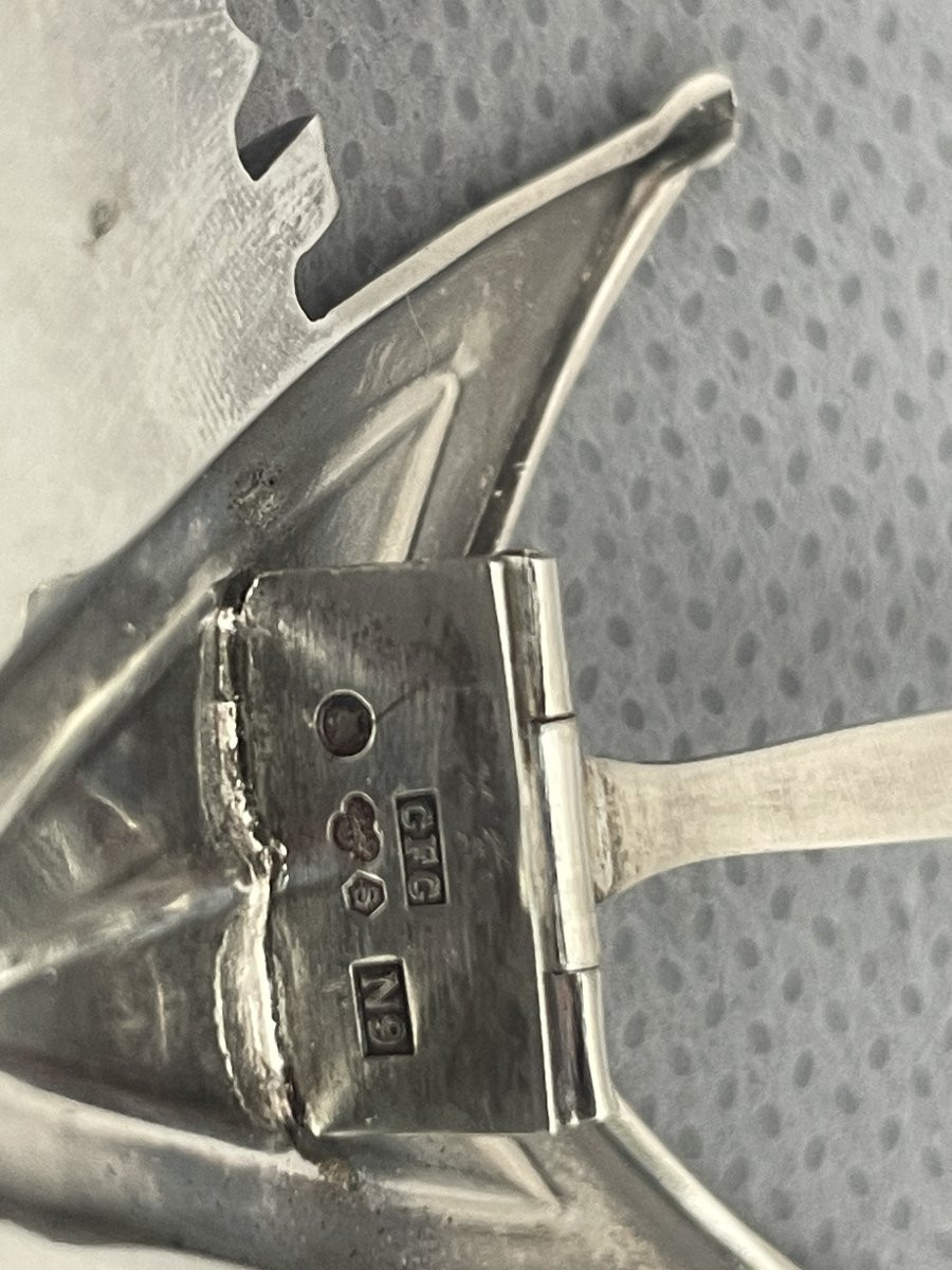 Grand Cross Of The Northern Star -photo-4