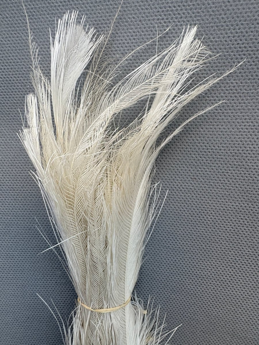 PLUMET ou AIGRETTE de COLONEL ou CHEF D'ESCADRON DE CAVALERIE-photo-4