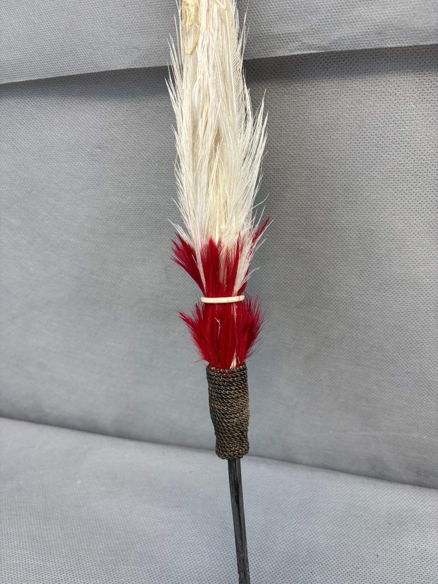 PLUMET ou AIGRETTE de COLONEL ou CHEF D'ESCADRON DE CAVALERIE-photo-1