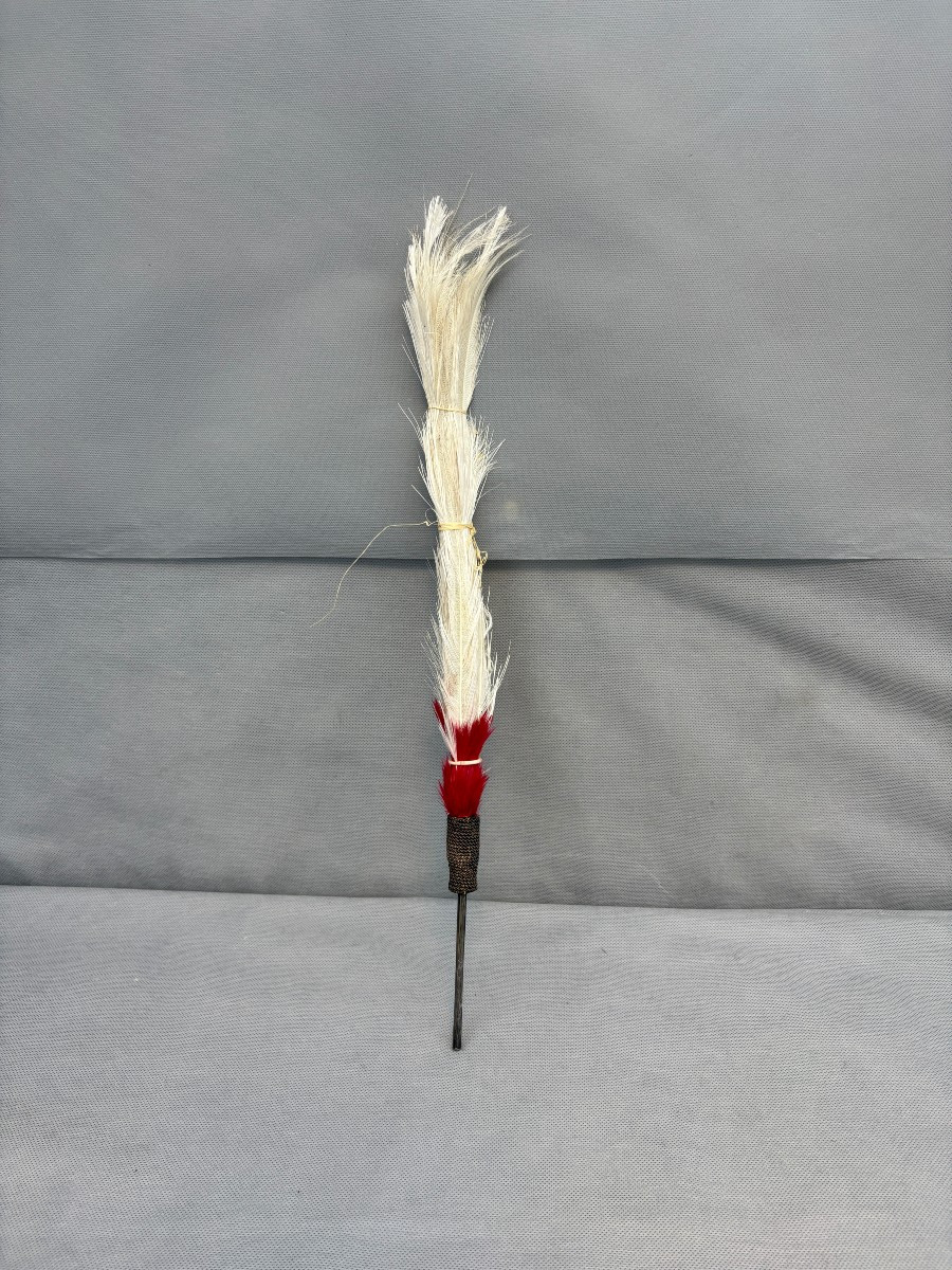 PLUMET ou AIGRETTE de COLONEL ou CHEF D'ESCADRON DE CAVALERIE