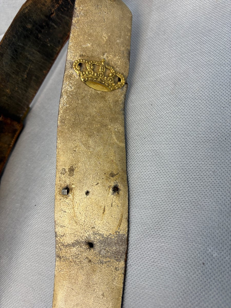 Bavarian Riding Officer's Giber Mid 19th Century Maximilien Ii-photo-1