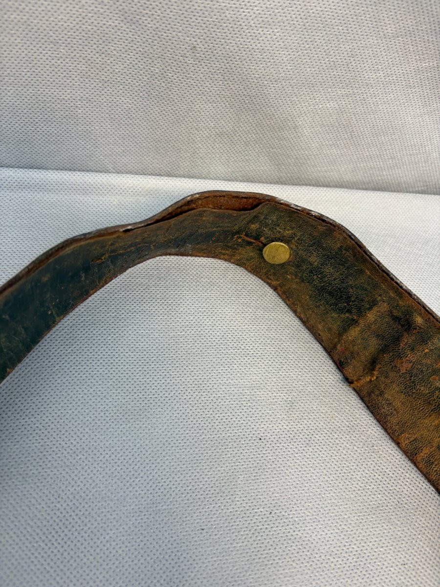 Bavarian Riding Officer's Giber Mid 19th Century Maximilien Ii-photo-2