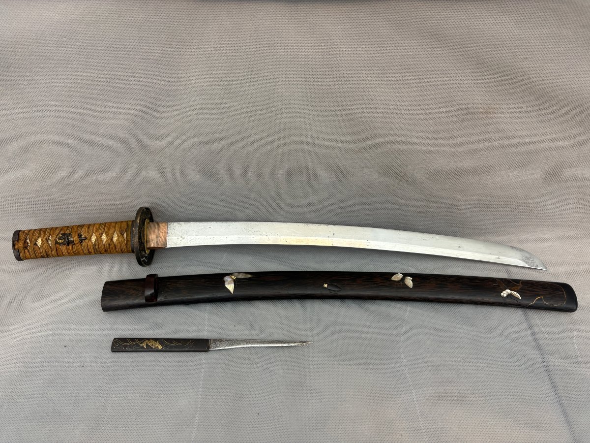 Edo-period Wakizashi-photo-4