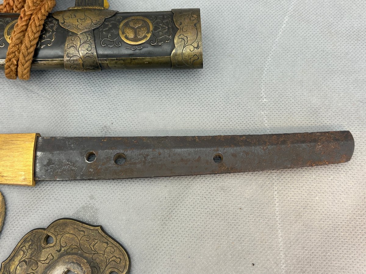 Katana  Tachi Bizen, Kamakura Period, 1320–1350-photo-7