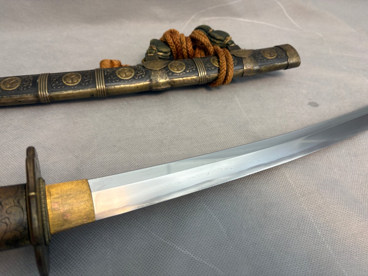 Katana  Tachi Bizen, Kamakura Period, 1320–1350-photo-8