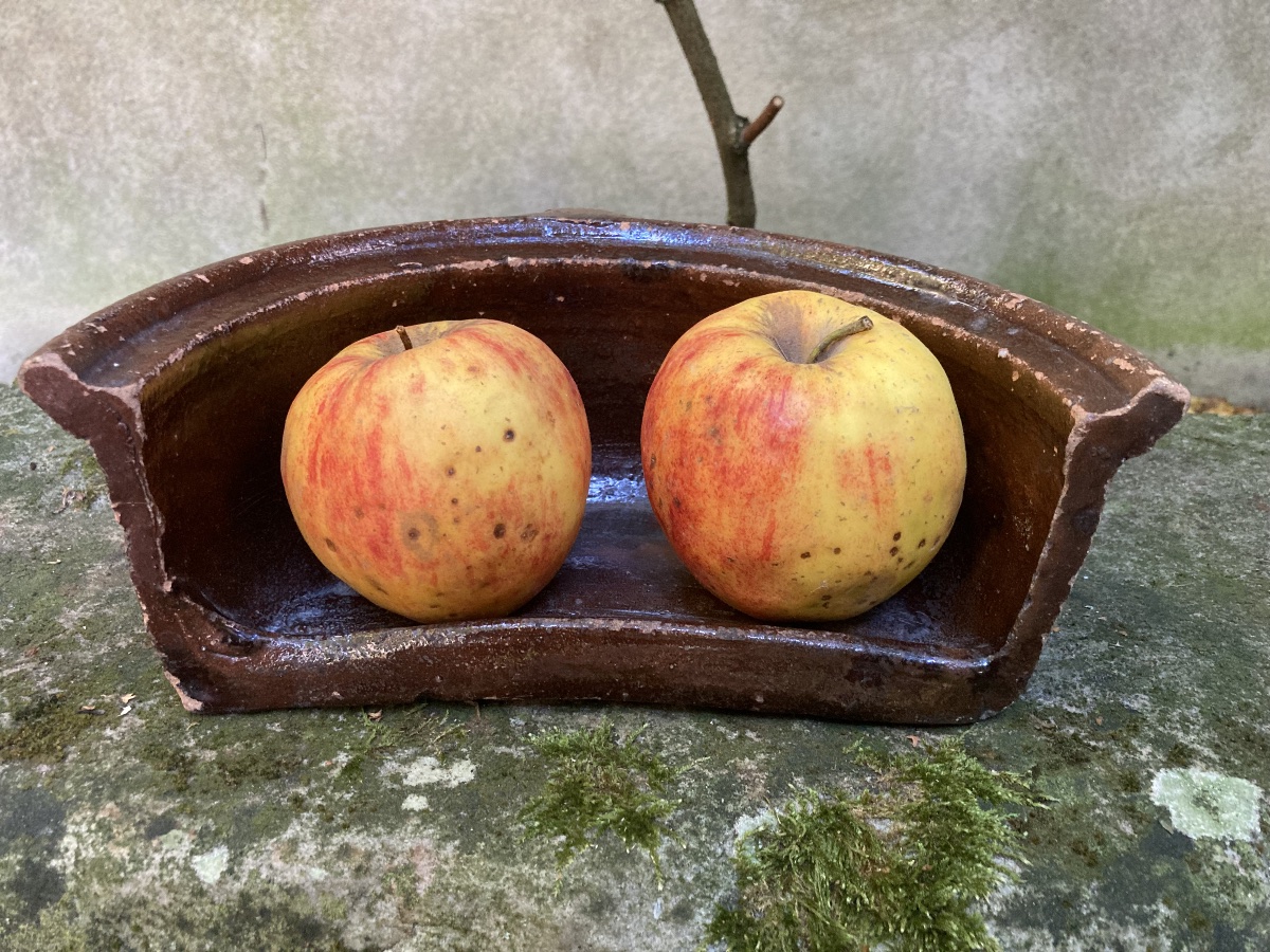 Cuit pommes en terre vernissée Orléans fin XIXe.-photo-2