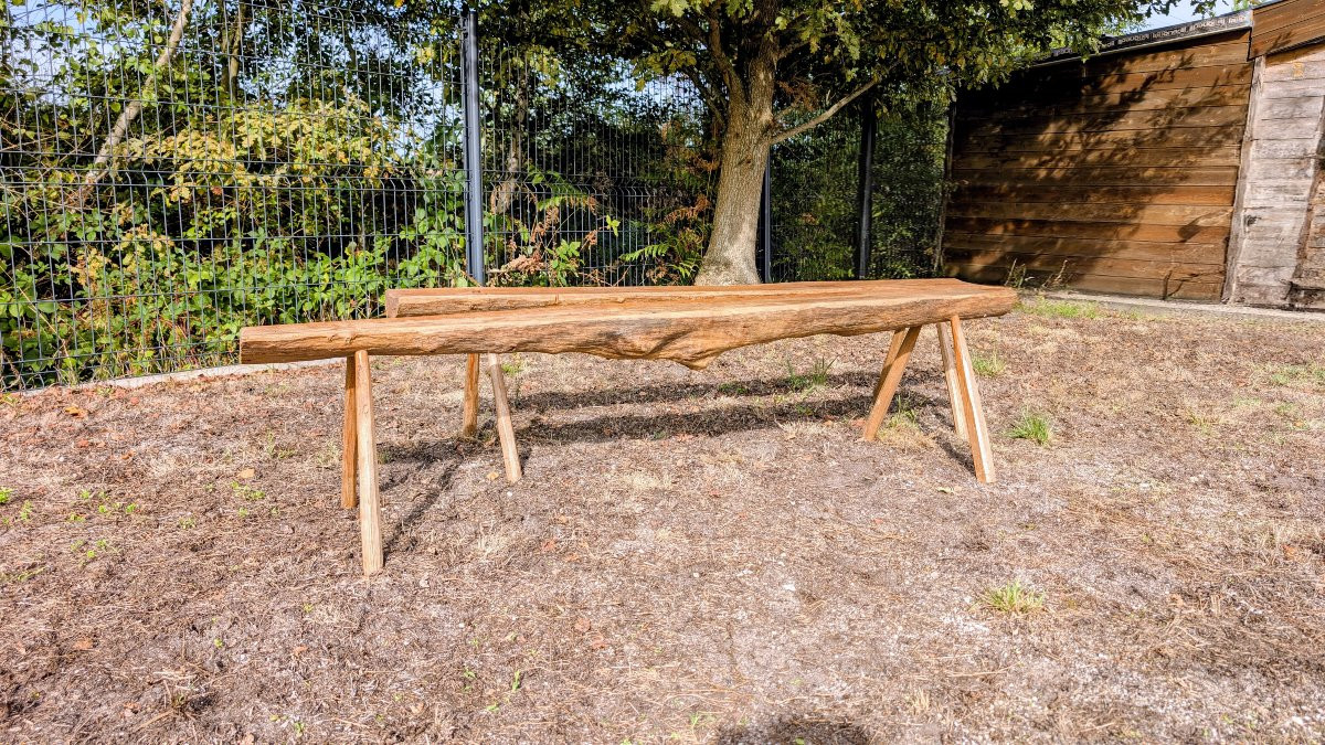 Paire de bancs brutalistes – bois massif, design brut et unique-photo-2