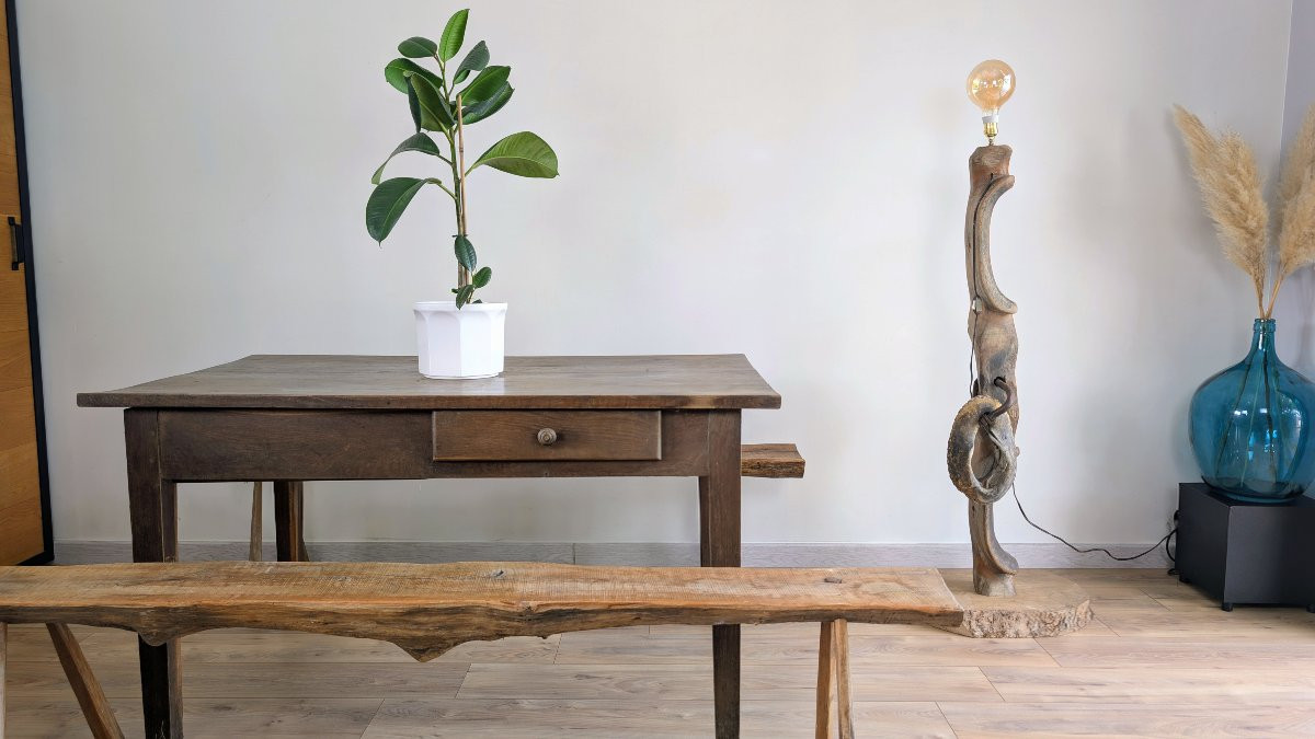 Paire de bancs brutalistes – bois massif, design brut et unique-photo-8