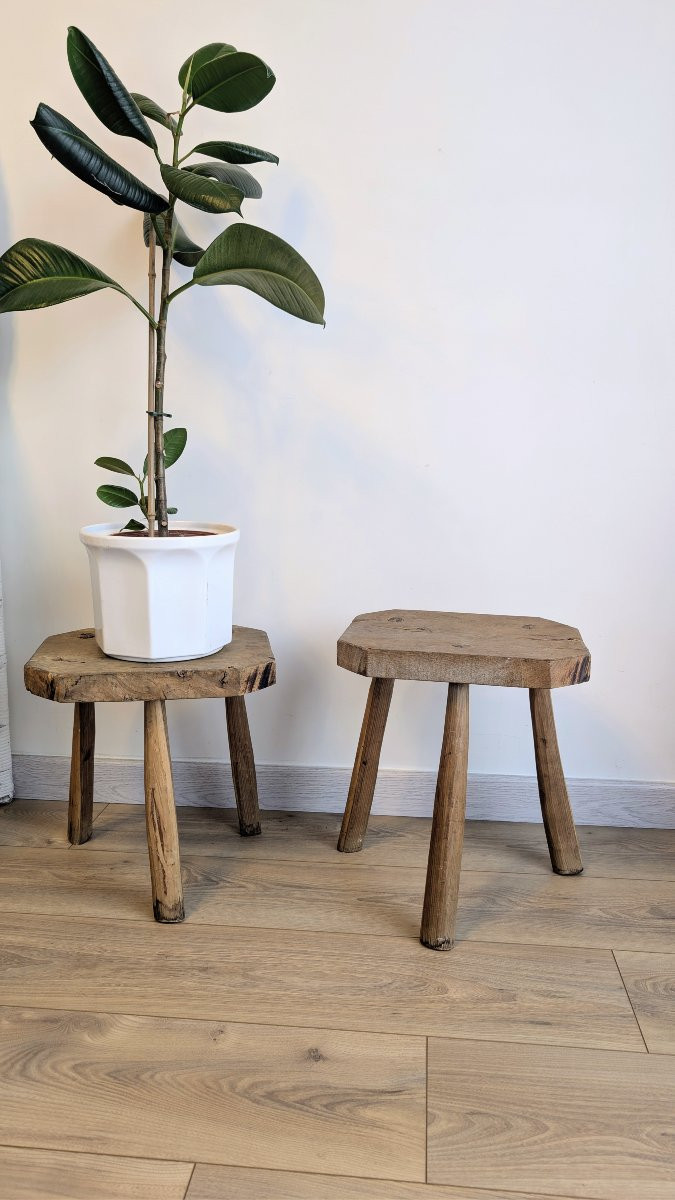 Pair Of Brutalist Stools, Tripod, Solid Wood, Early 20th Century-photo-6