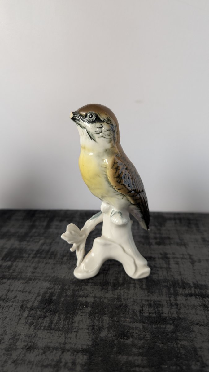 Karl Ens – Pair Of Polychrome Saxon Porcelain Birds – 20th Century-photo-2