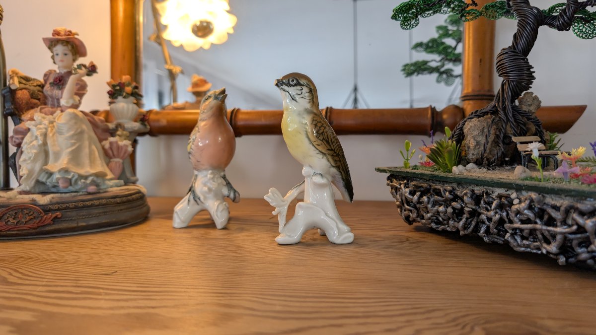 Karl Ens – Pair Of Polychrome Saxon Porcelain Birds – 20th Century-photo-1
