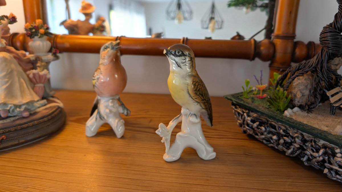 Karl Ens – Pair Of Polychrome Saxon Porcelain Birds – 20th Century-photo-2