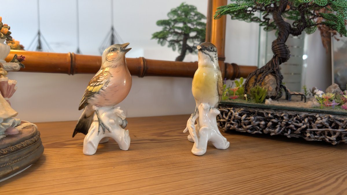 Karl Ens – Pair Of Polychrome Saxon Porcelain Birds – 20th Century-photo-3
