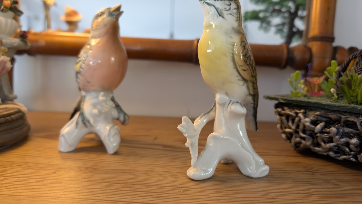 Karl Ens – Pair Of Polychrome Saxon Porcelain Birds – 20th Century-photo-4