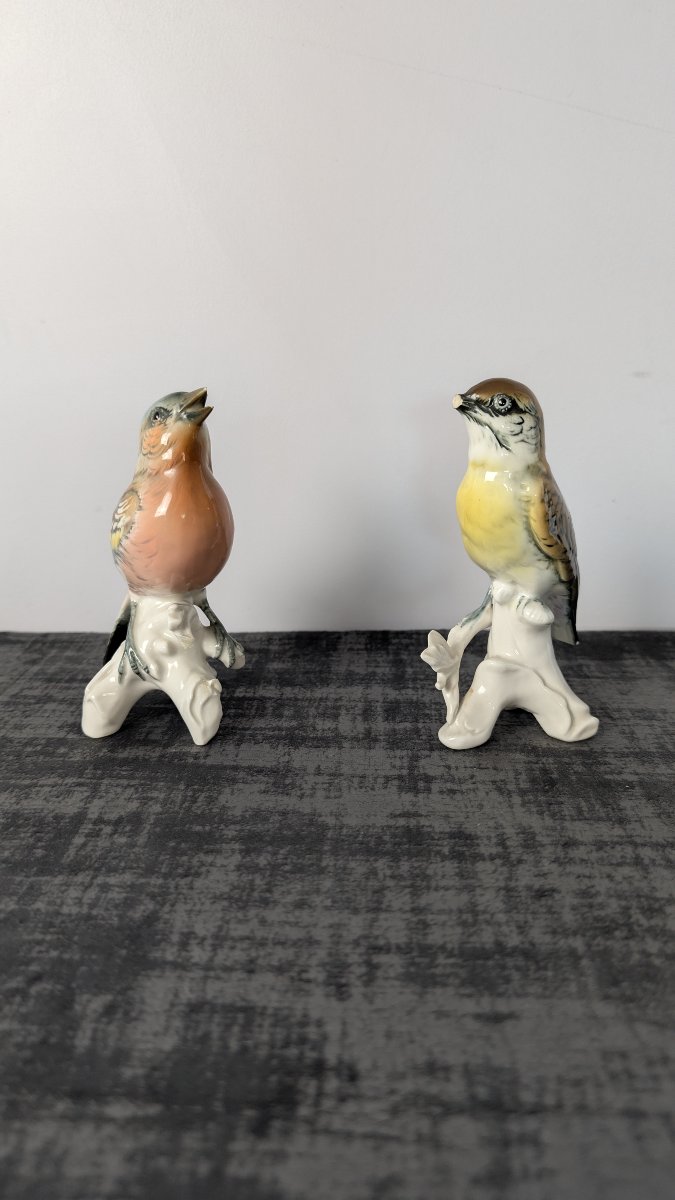 Karl Ens – Pair Of Polychrome Saxon Porcelain Birds – 20th Century