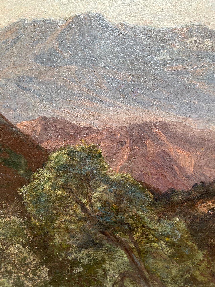 Vue De Montagne. Alexandre Ségé (1818-1885) Peinture Huile/carton 26 X 40 Cm-photo-4