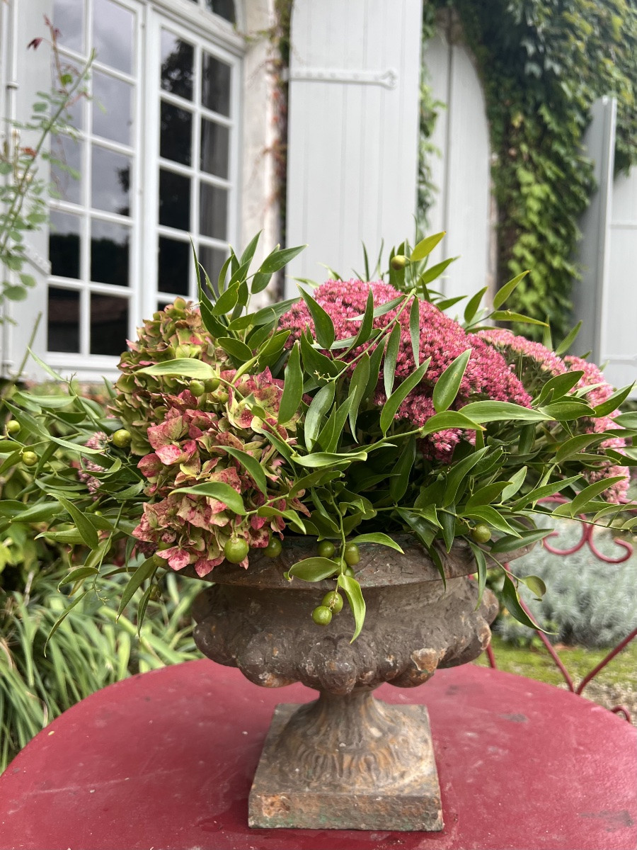 Vasque medicis en fonte, à godron. Ancien-photo-1