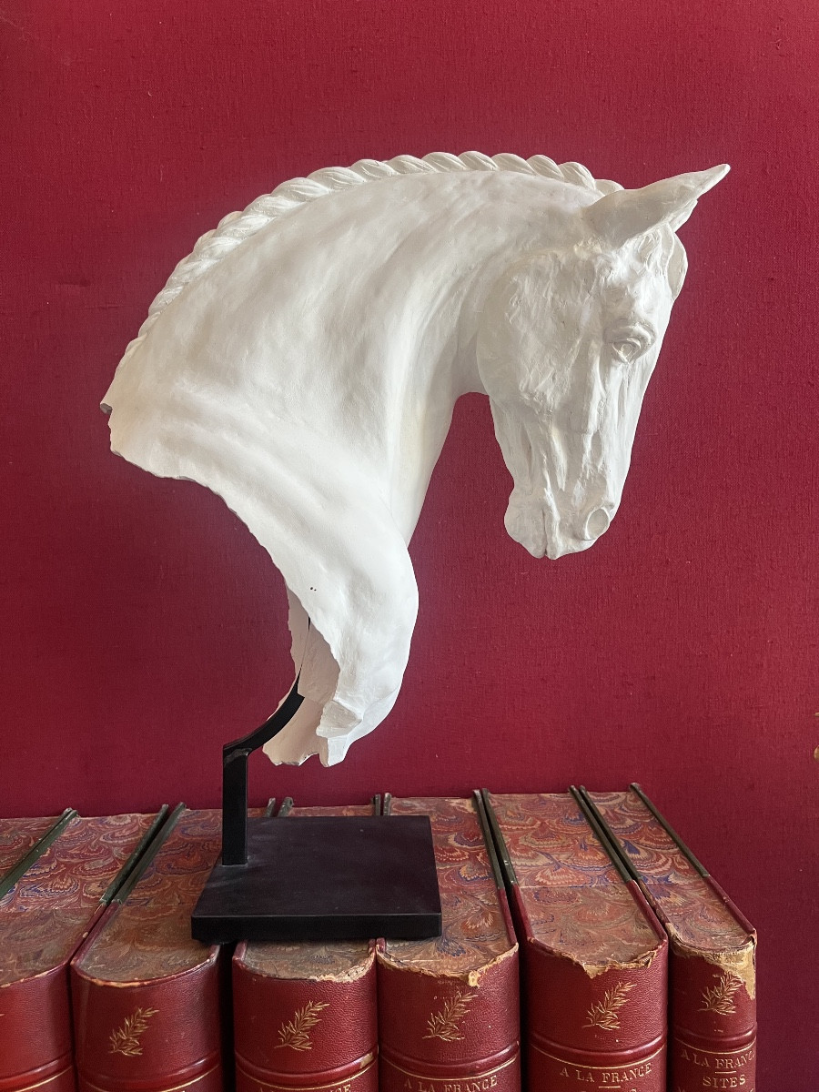 Jea Paul Gourdon. The Percheron Plaster Bust.-photo-2