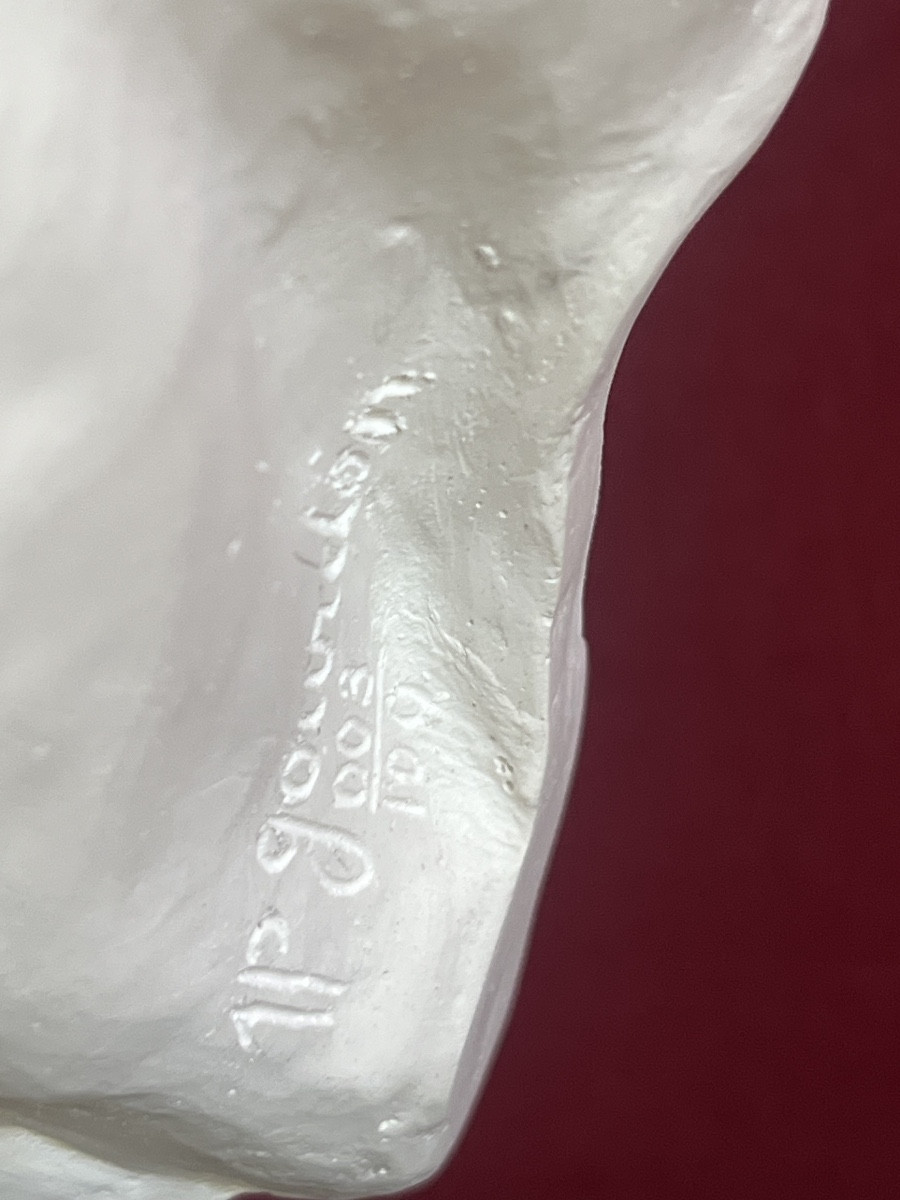 Jea Paul Gourdon. The Percheron Plaster Bust.-photo-3