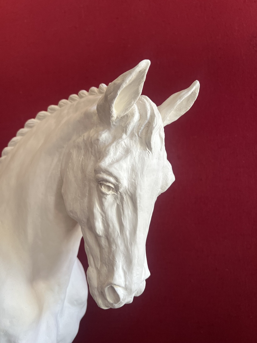 Jea Paul Gourdon. The Percheron Plaster Bust.