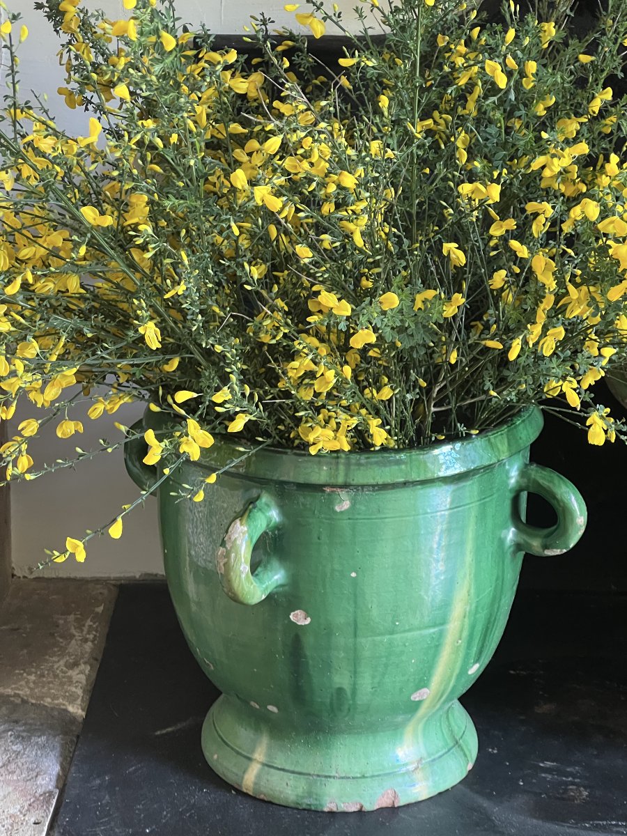 Pot à citronnier. Castelnaudary XIXème