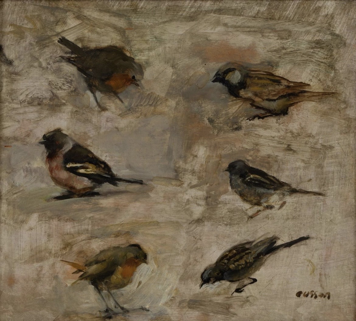 Les oiseaux  de nos campagnes. Jacques Ousson 1937. -photo-2
