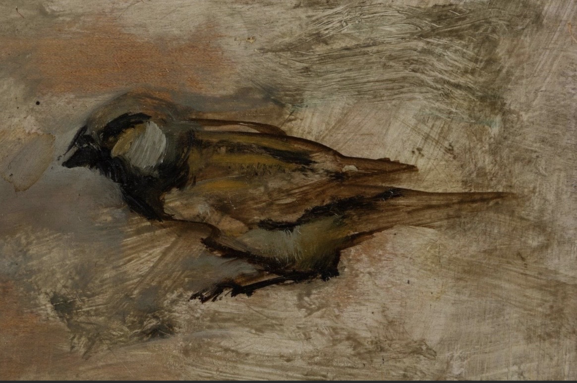 Les oiseaux  de nos campagnes. Jacques Ousson 1937. -photo-2