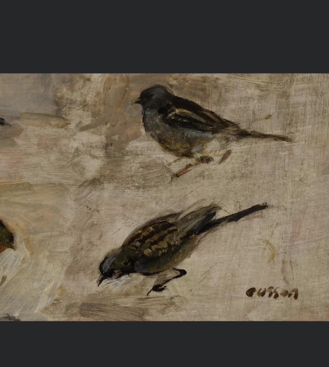 Les oiseaux  de nos campagnes. Jacques Ousson 1937. -photo-3