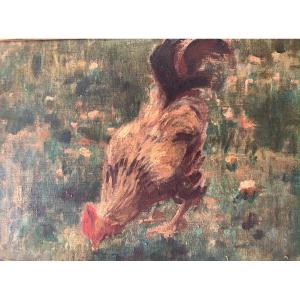 Le Coq  Ecole Française Du XIXè Huile Sur Toile 48.5 X 40cm Avec Le Cadre.