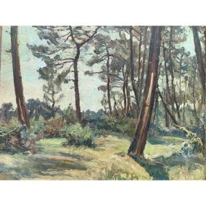 Pierre Vauthier Oudine (20th Century) Landes Landscape Oil On Panel 38 X 46 Cm