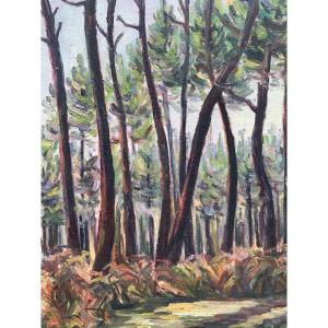 Regionalist School 20th Trail In The Pines Oil On Canvas Unsigned 33 X 24 Cm