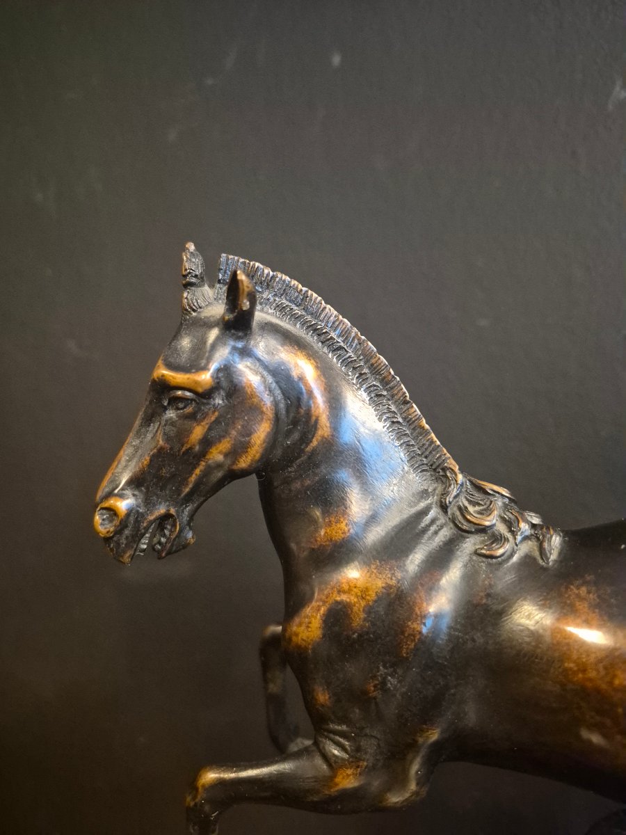 Bronze Horse, 18th Century-photo-2