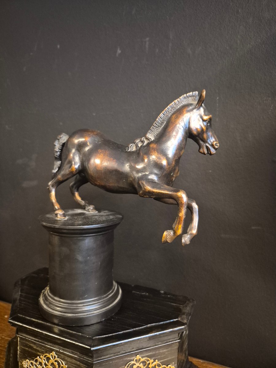 Bronze Horse, 18th Century-photo-4