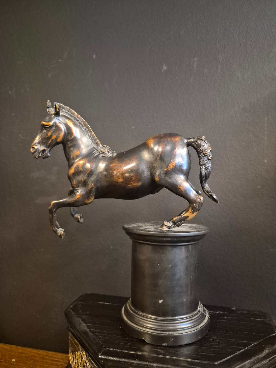 Bronze Horse, 18th Century-photo-2