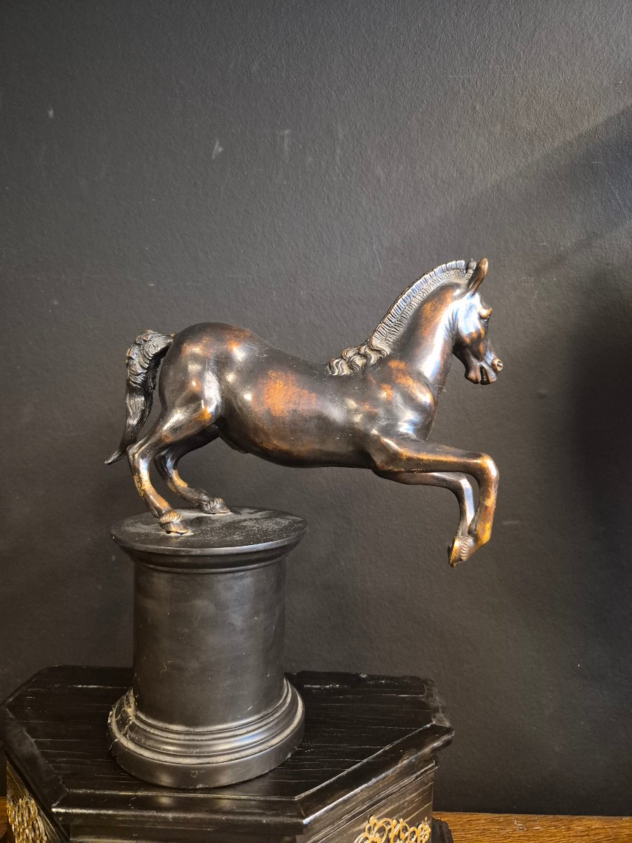 Bronze Horse, 18th Century-photo-3