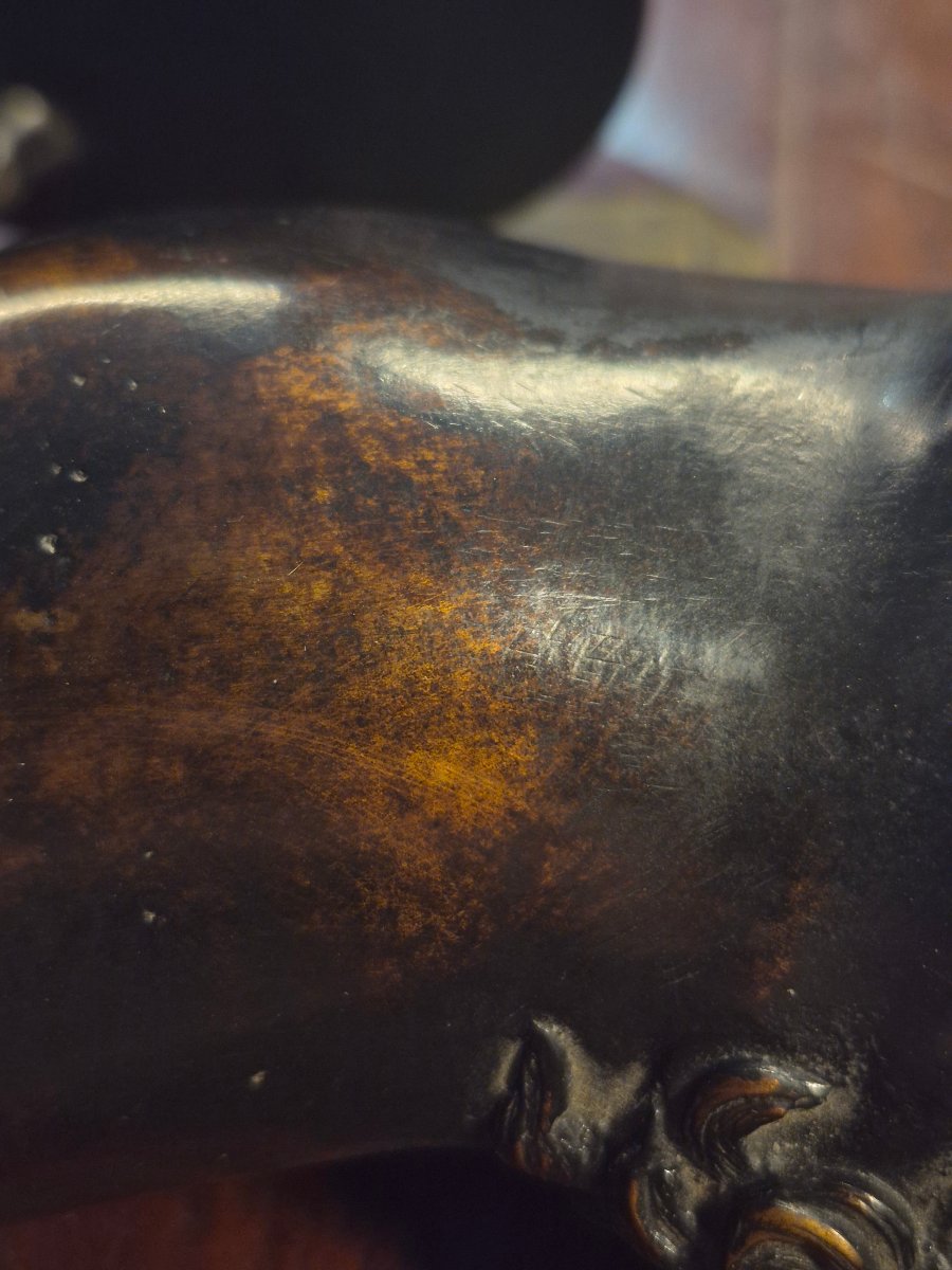 Bronze Horse, 18th Century-photo-4