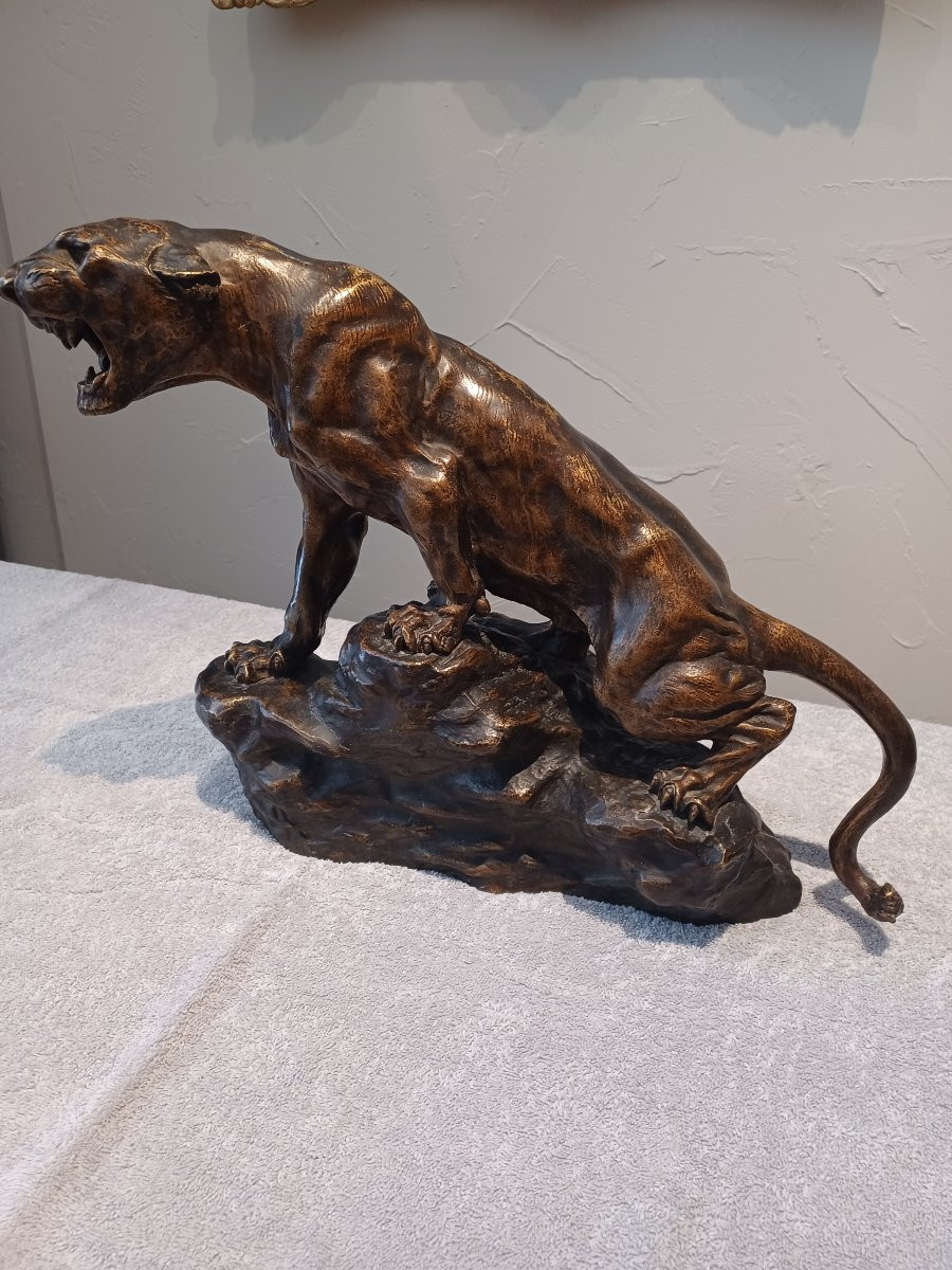 Bronze Sculpture "roaring Lioness" By Thomas Cartier-photo-3