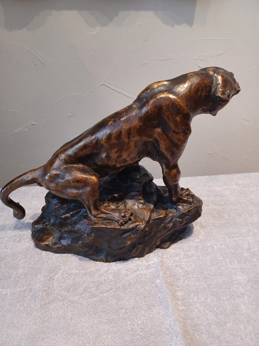 Bronze Sculpture "roaring Lioness" By Thomas Cartier-photo-4